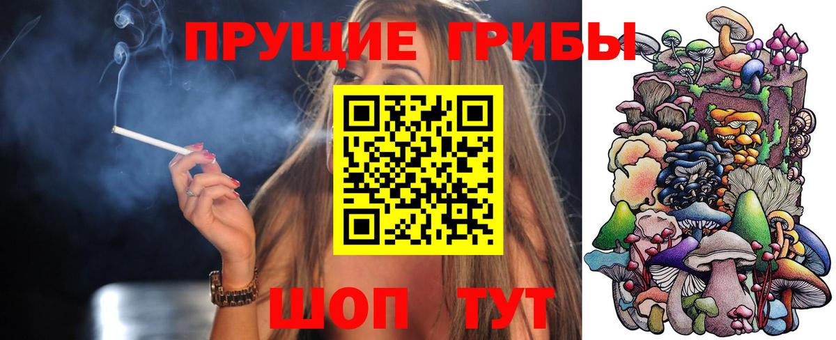 Гагарин  цена   Вход с VPN  Псилоцибиновые грибы Cubensis 